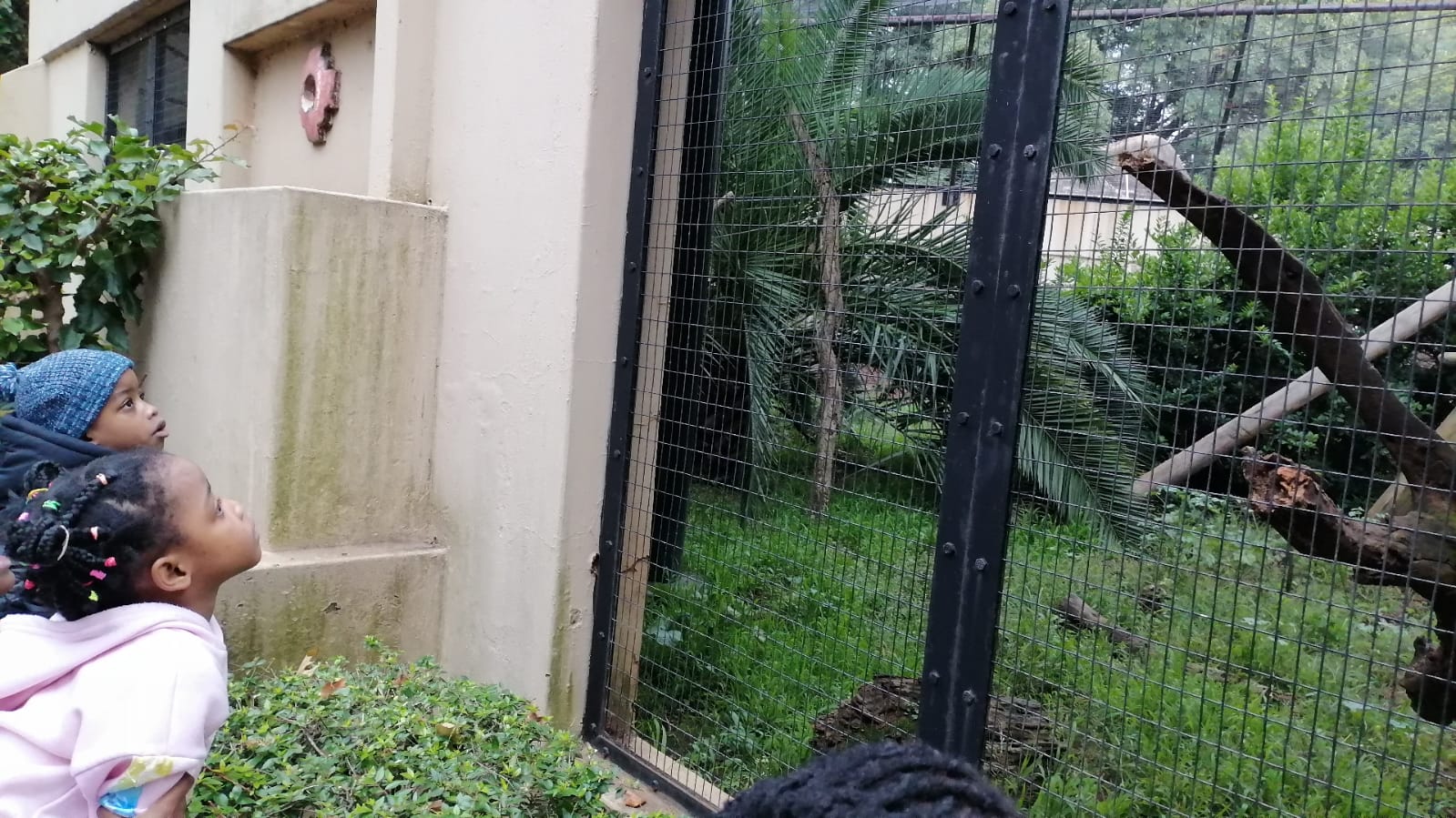 WhatsApp Image 2025-04-18 at 6.59.14 PM (10) WhatsApp Image 2025-04-18 at 6.59.14 PM (10)